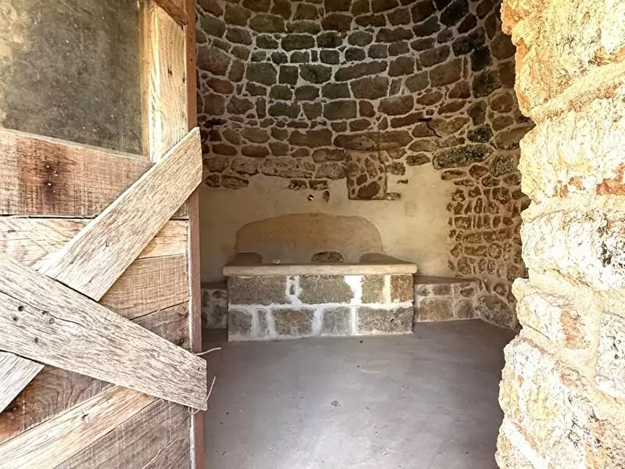 Immagine 16 di Terreno agricolo in vendita  a Alessano