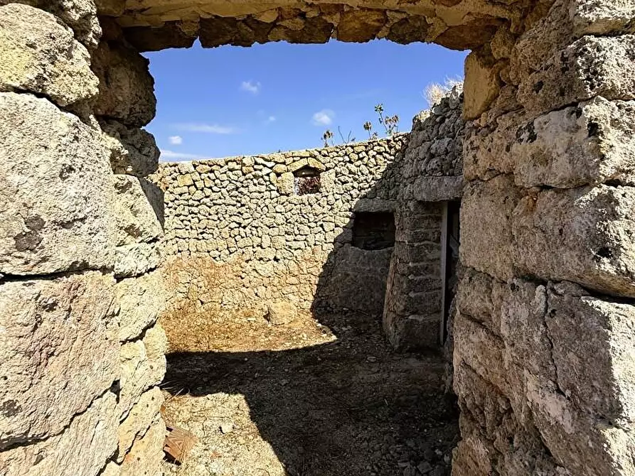 Immagine 14 di Terreno agricolo in vendita  a Alessano
