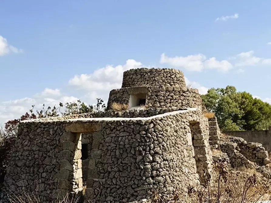 Immagine 22 di Terreno agricolo in vendita  a Alessano