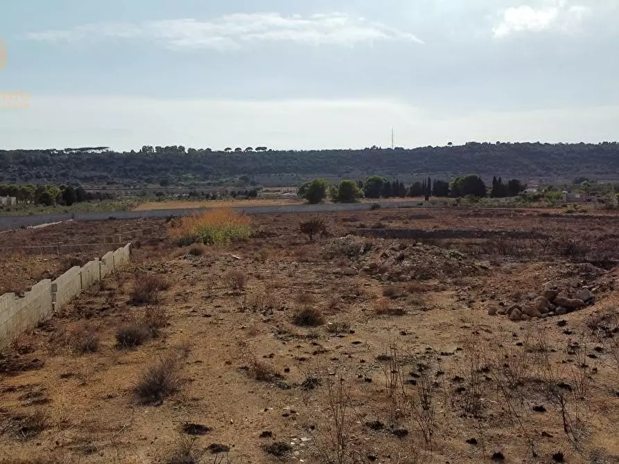 Immagine 37 di Terreno agricolo in vendita  a Alessano