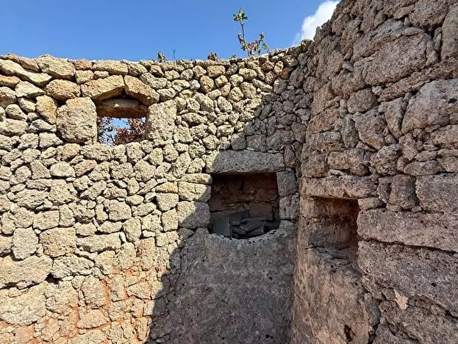 Immagine 21 di Terreno agricolo in vendita  a Alessano