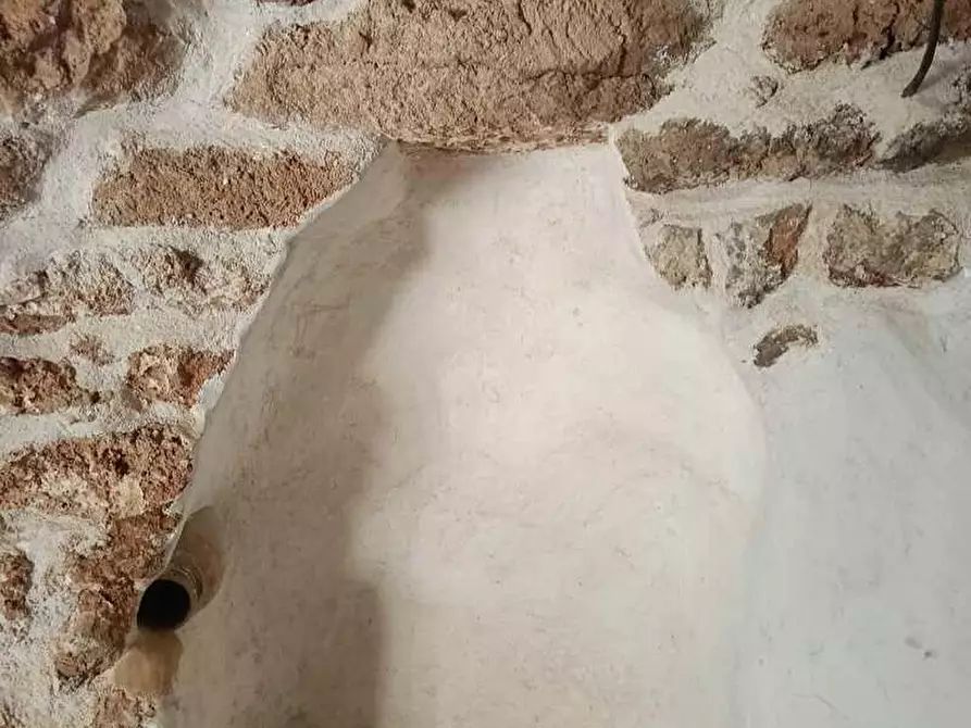 Immagine 12 di Terreno agricolo in vendita  a Alessano