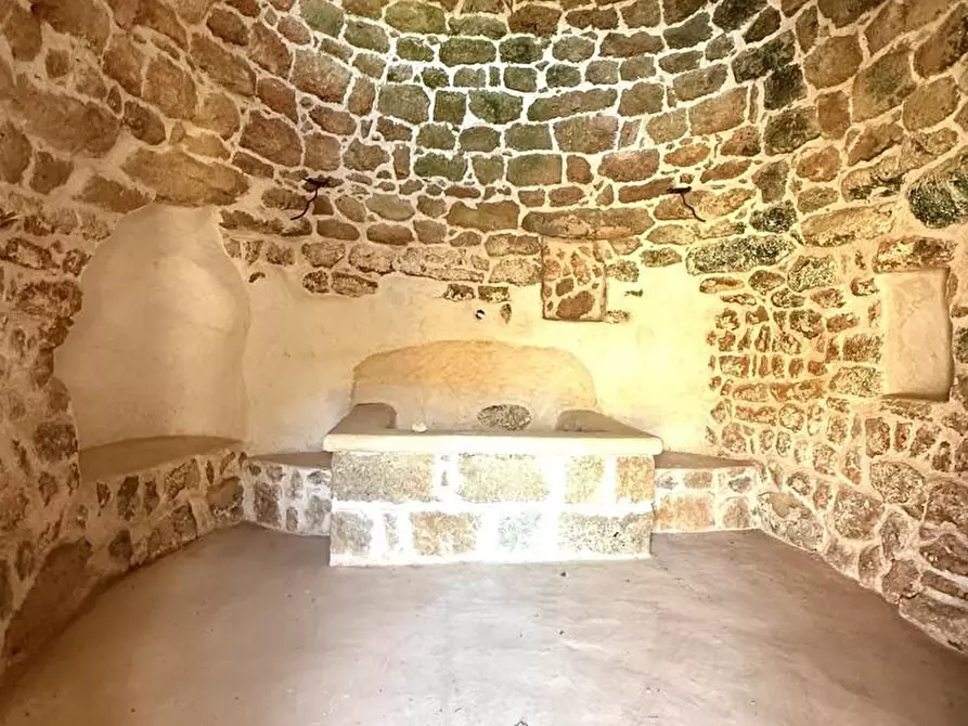 Immagine 18 di Terreno agricolo in vendita  a Alessano