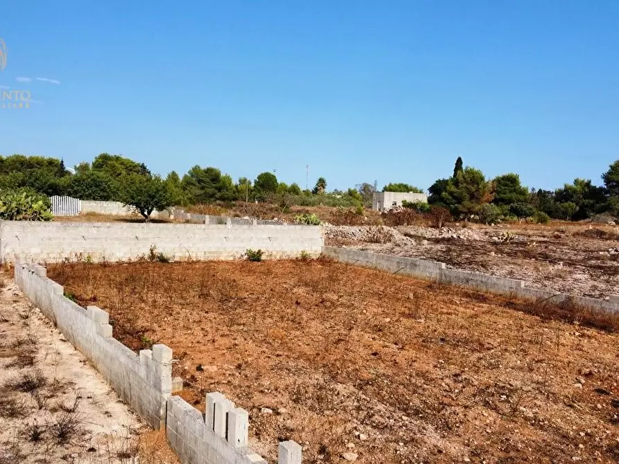 Immagine 38 di Terreno agricolo in vendita  a Alessano