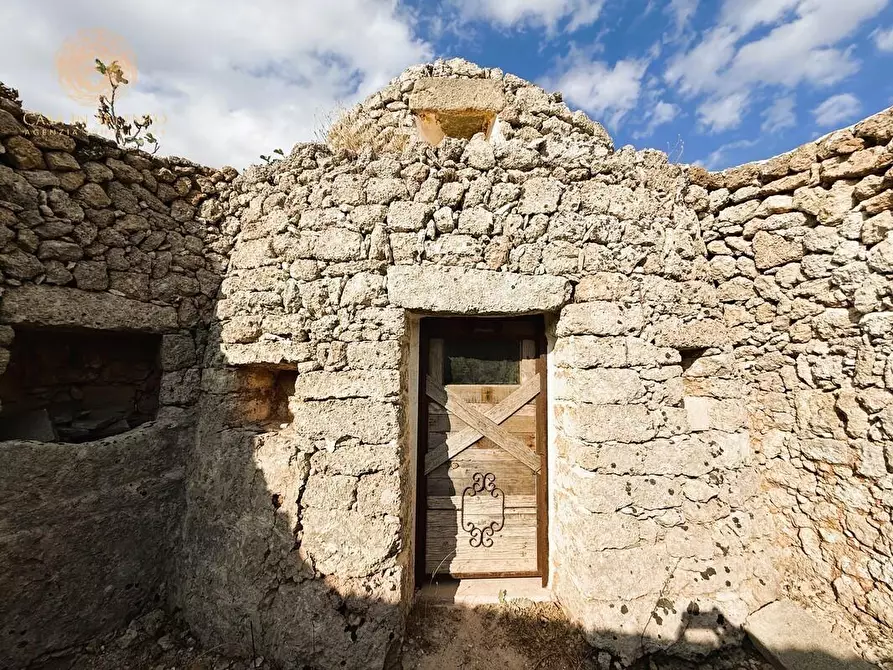 Immagine 27 di Terreno agricolo in vendita  a Alessano