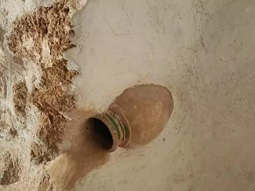 Immagine 10 di Terreno agricolo in vendita  a Alessano