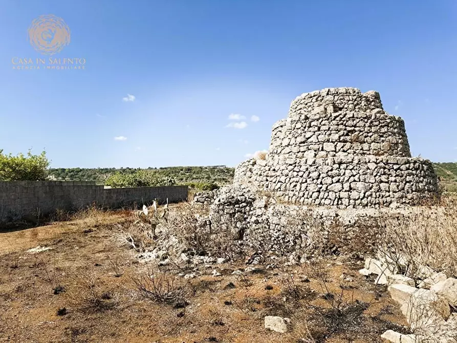 Immagine 24 di Terreno agricolo in vendita  a Alessano
