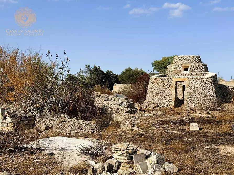 Immagine 32 di Terreno agricolo in vendita  a Alessano
