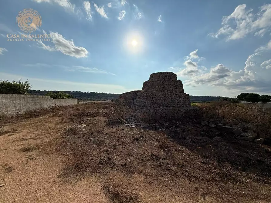 Immagine 34 di Terreno agricolo in vendita  a Alessano