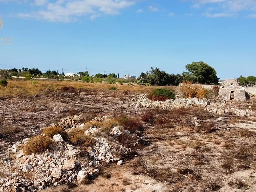 Immagine 39 di Terreno agricolo in vendita  a Alessano