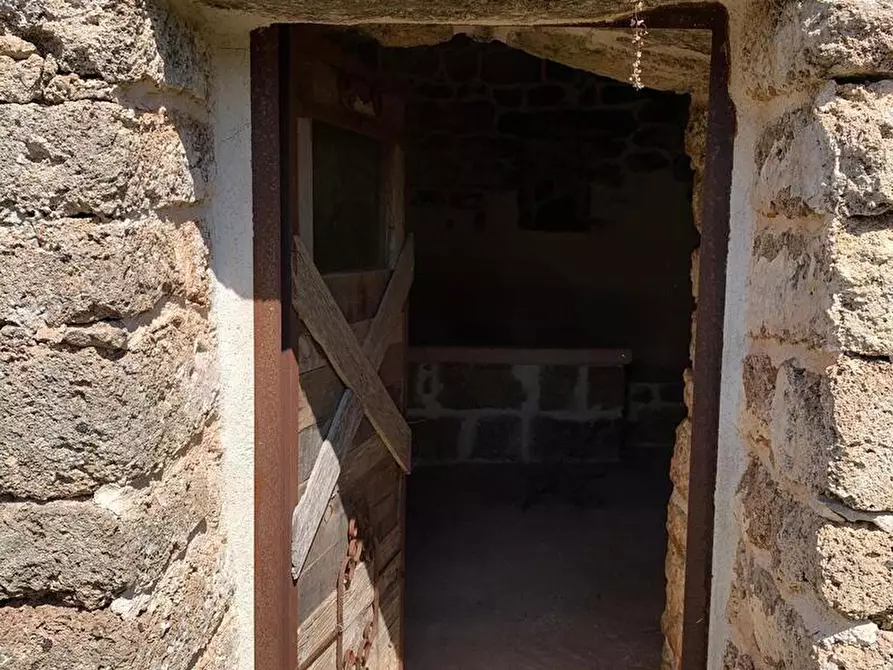 Immagine 6 di Terreno agricolo in vendita  a Alessano