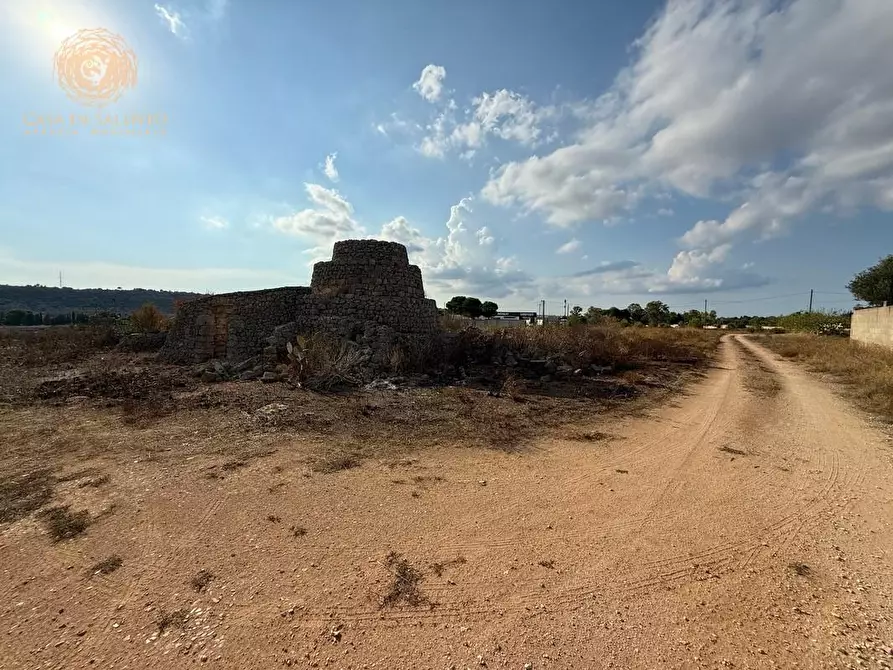 Immagine 36 di Terreno agricolo in vendita  a Alessano