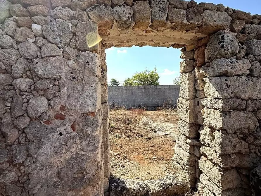 Immagine 17 di Terreno agricolo in vendita  a Alessano
