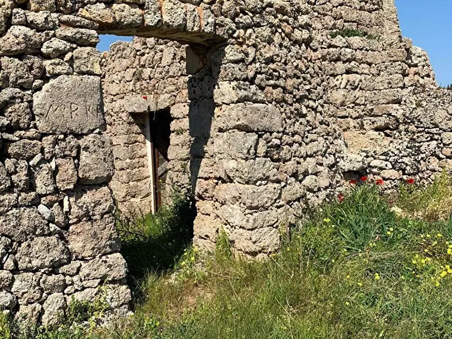 Immagine 3 di Terreno agricolo in vendita  a Alessano