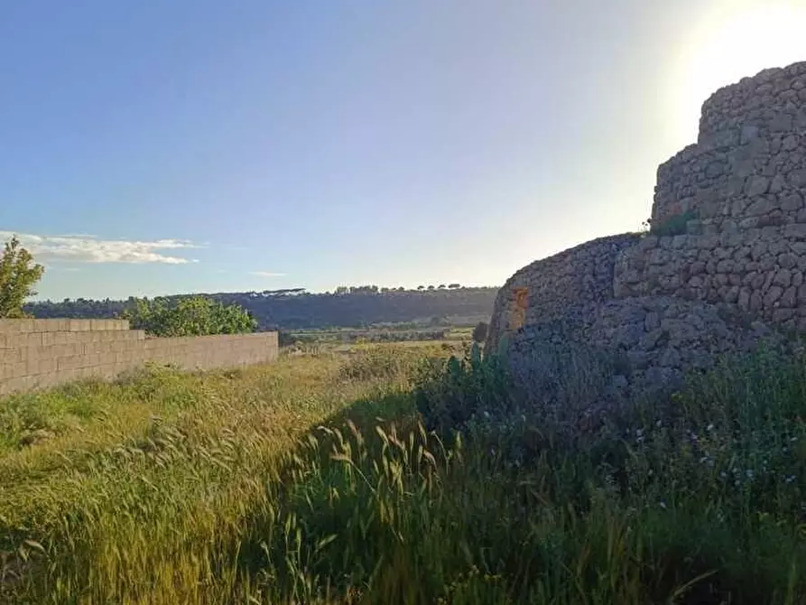 Immagine 9 di Terreno agricolo in vendita  a Alessano