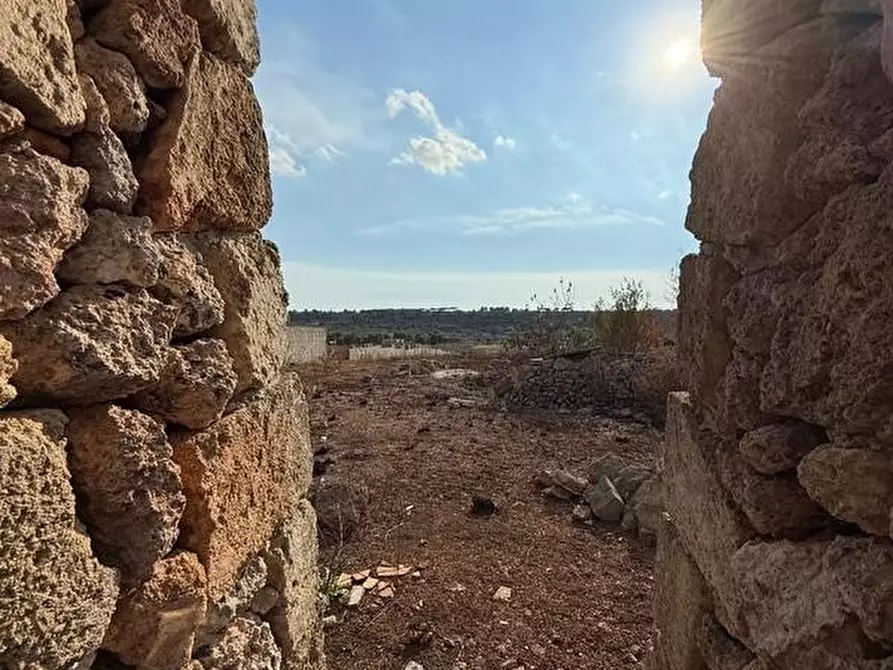 Immagine 28 di Terreno agricolo in vendita  a Alessano