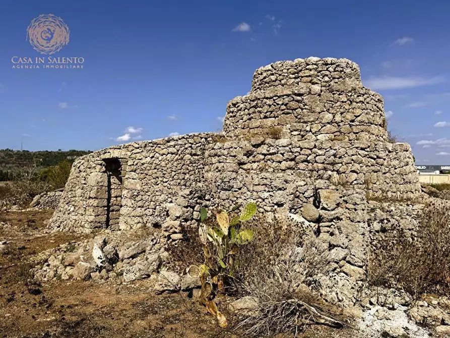 Immagine 1 di Terreno agricolo in vendita  a Alessano
