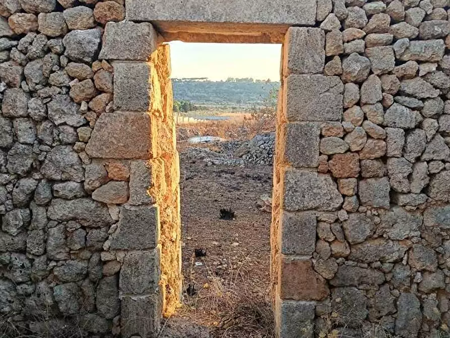 Immagine 8 di Terreno agricolo in vendita  a Alessano