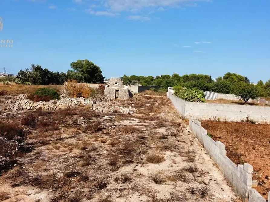 Immagine 40 di Terreno agricolo in vendita  a Alessano