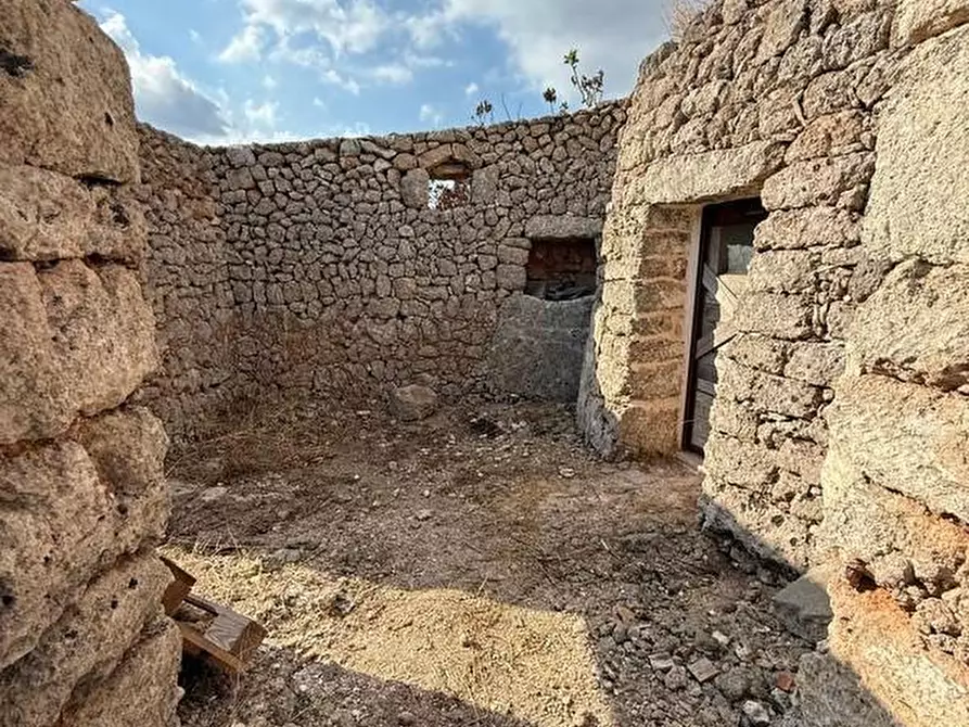 Immagine 29 di Terreno agricolo in vendita  a Alessano