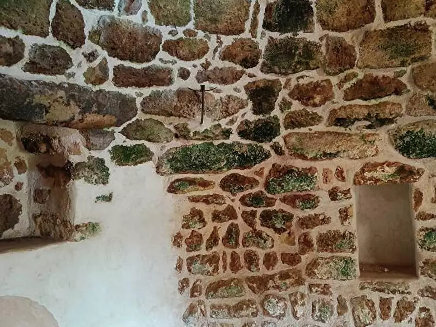 Immagine 11 di Terreno agricolo in vendita  a Alessano