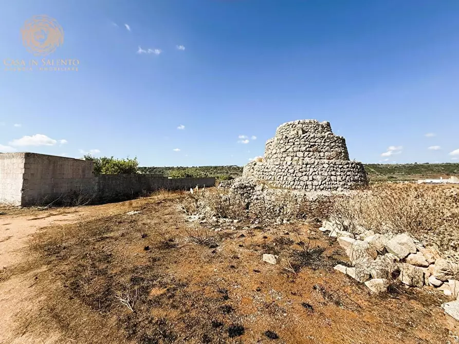 Immagine 25 di Terreno agricolo in vendita  a Alessano