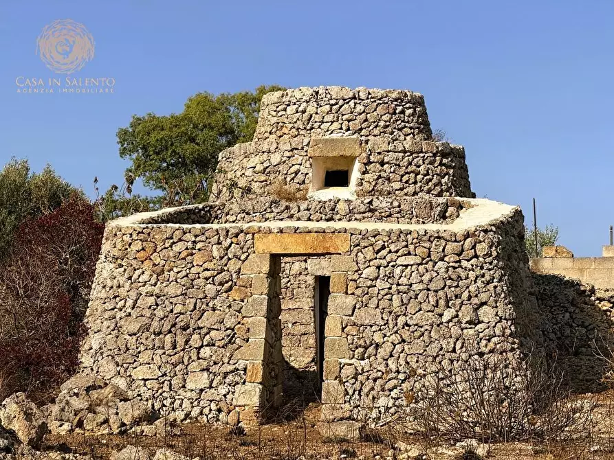 Immagine 31 di Terreno agricolo in vendita  a Alessano