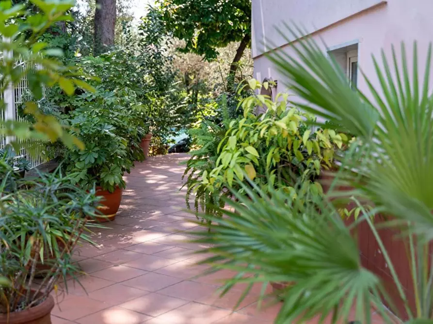 Immagine 16 di Appartamento in affitto  a Massa