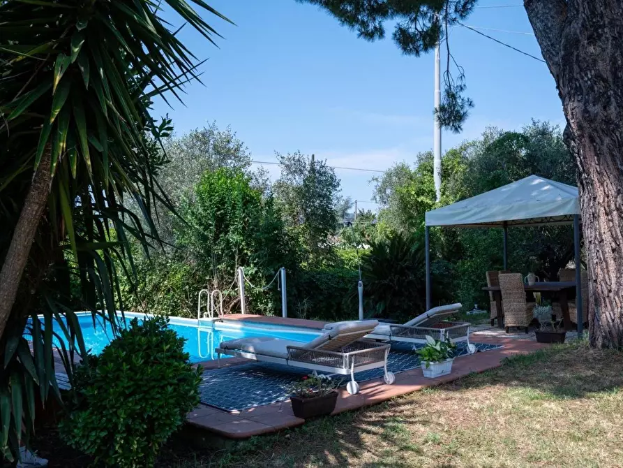 Immagine 12 di Appartamento in affitto  a Massa