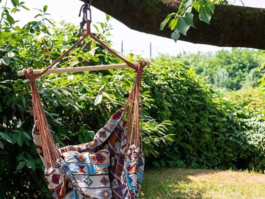 Immagine 14 di Appartamento in affitto  a Massa