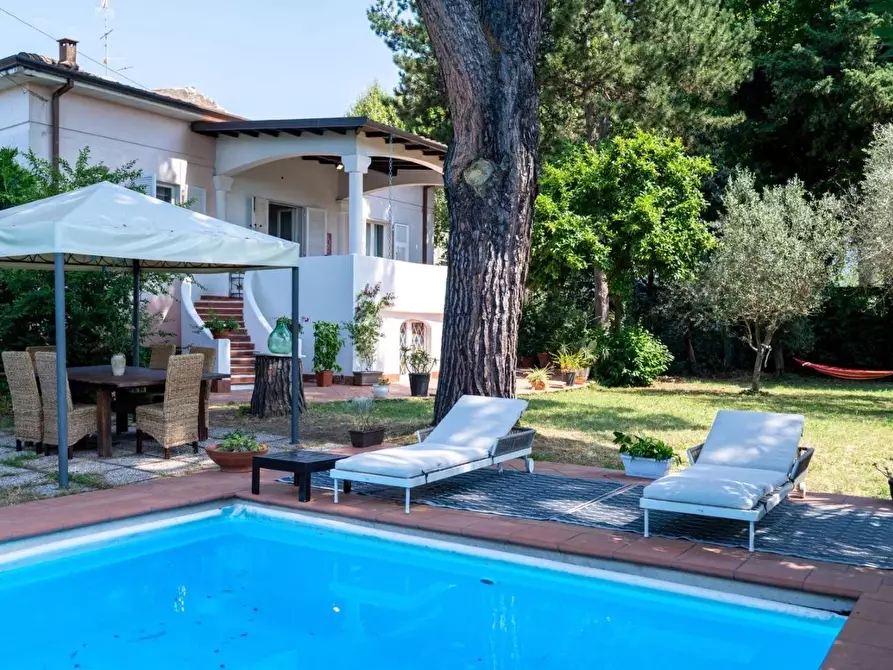 Immagine 13 di Appartamento in affitto  a Massa