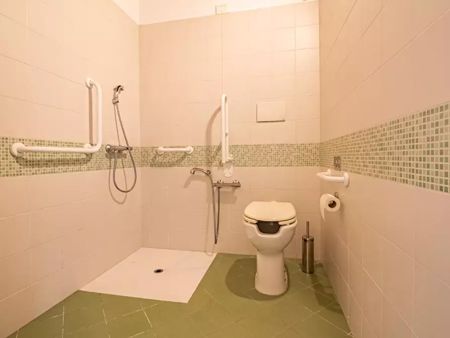 Immagine 12 di Casa colonica in vendita  a Vicopisano