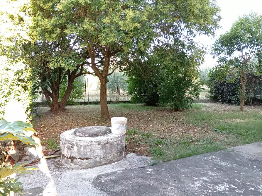 Immagine 45 di Casa indipendente in vendita  a San Miniato