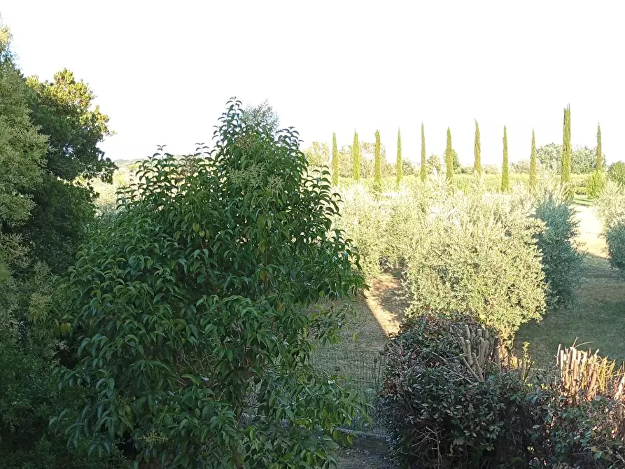 Immagine 47 di Casa indipendente in vendita  a San Miniato