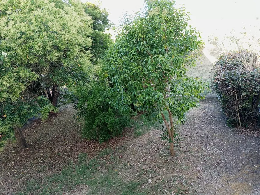 Immagine 49 di Casa indipendente in vendita  a San Miniato