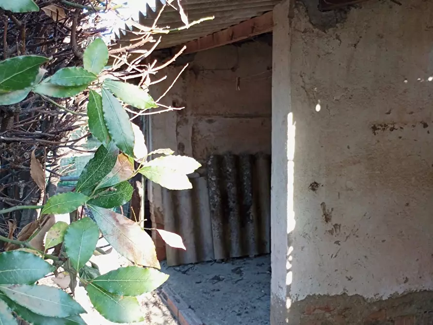 Immagine 53 di Casa indipendente in vendita  a San Miniato