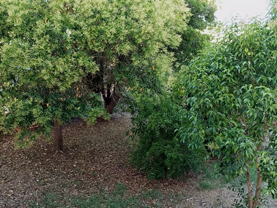 Immagine 51 di Casa indipendente in vendita  a San Miniato