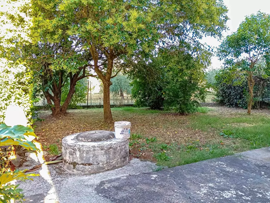 Immagine 1 di Casa indipendente in vendita  a San Miniato