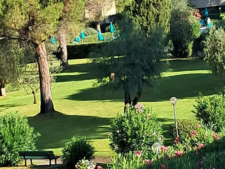 Immagine 11 di Appartamento in vendita  a Bibbona