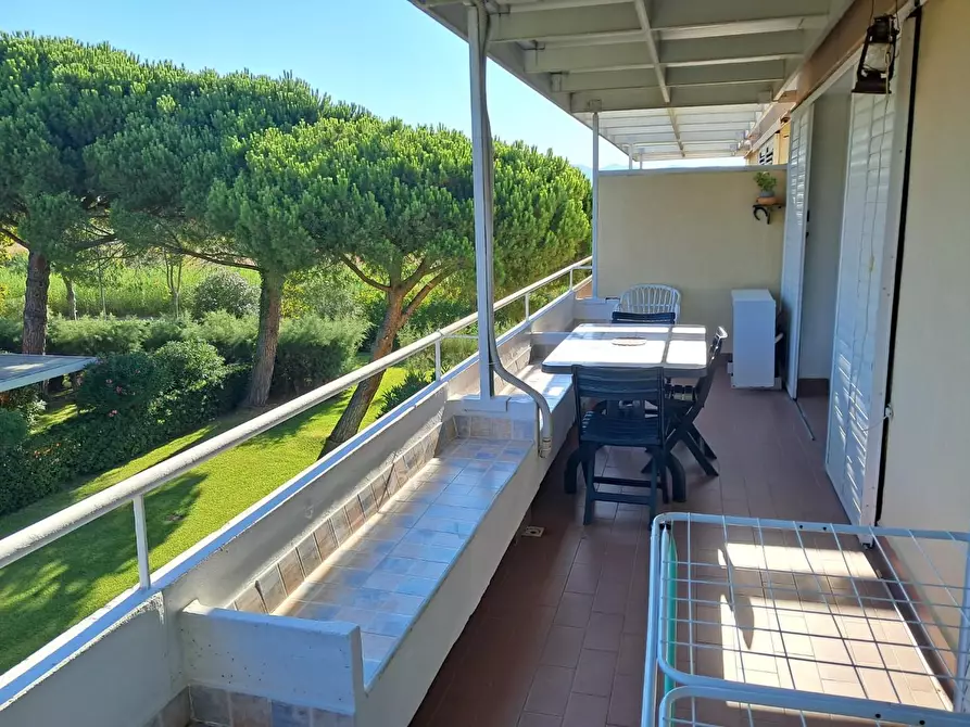 Immagine 5 di Appartamento in vendita  a Bibbona