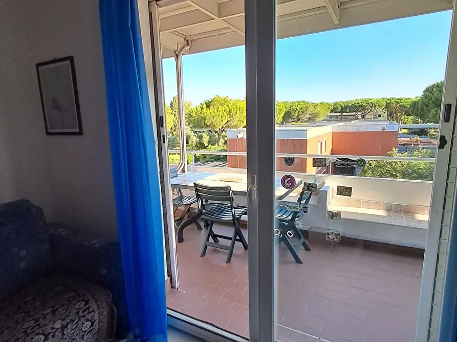 Immagine 4 di Appartamento in vendita  a Bibbona