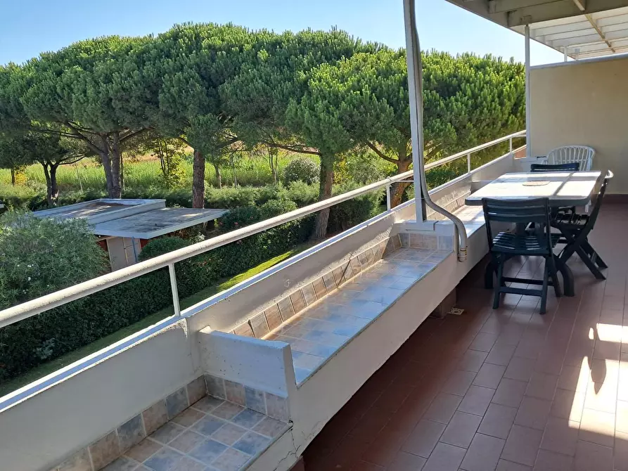 Immagine 6 di Appartamento in vendita  a Bibbona