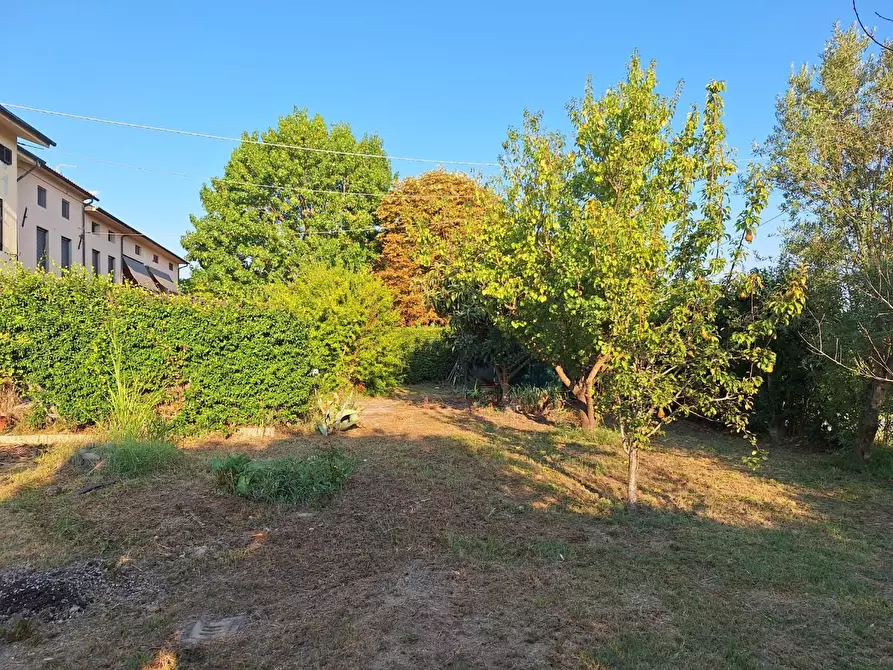 Immagine 11 di Appartamento in vendita  a Capannori