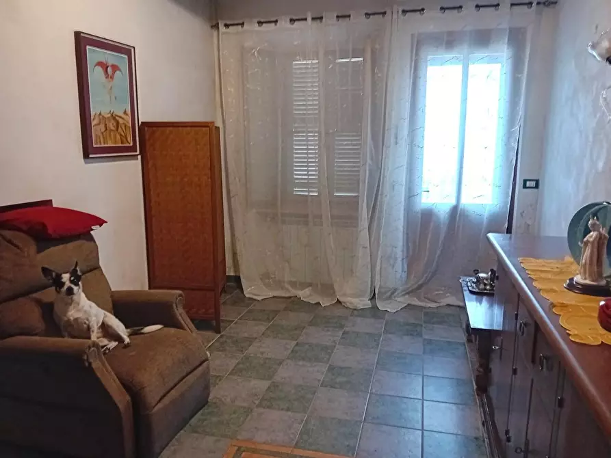 Immagine 14 di Appartamento in vendita  a Capannori