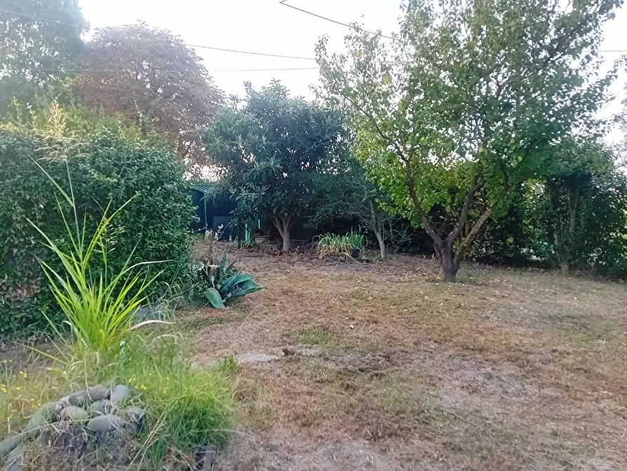 Immagine 27 di Appartamento in vendita  a Capannori