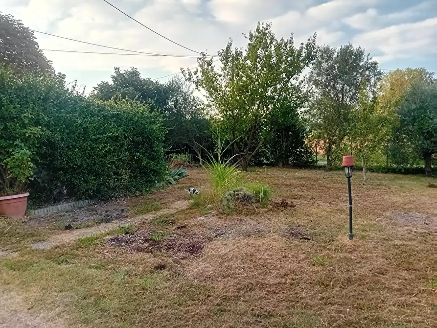 Immagine 28 di Appartamento in vendita  a Capannori