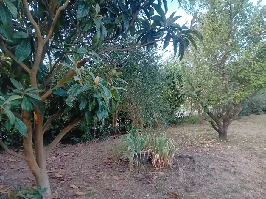 Immagine 26 di Appartamento in vendita  a Capannori