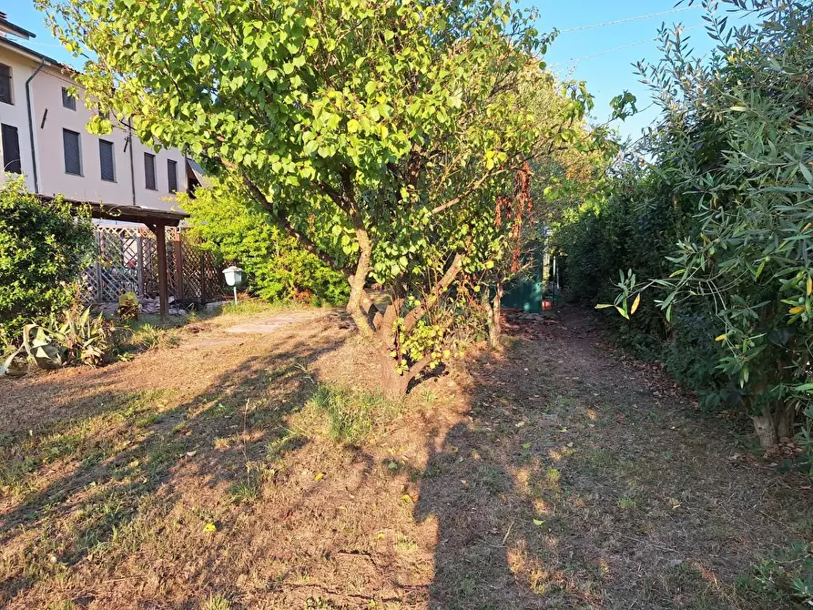 Immagine 2 di Appartamento in vendita  a Capannori