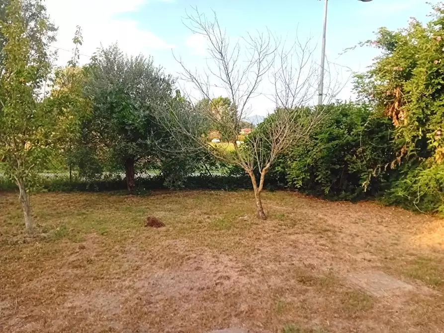 Immagine 29 di Appartamento in vendita  a Capannori