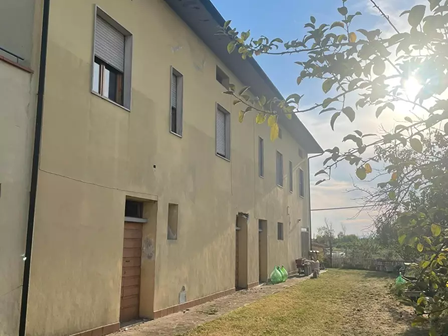 Immagine 5 di Terratetto in vendita  a San Miniato